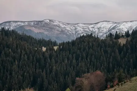 Nakup romunske e-vinjete in potovalni nasveti