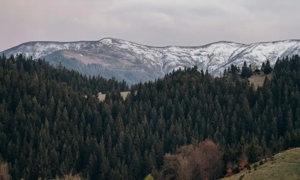 Nakup romunske e-vinjete in potovalni nasveti