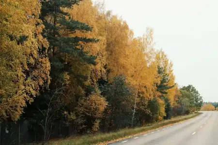 Prenova avtoceste D6 v okolici Kladna se je končala z zamudo.